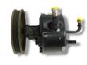 Vairo stiprintuvo siurblys 04743969AB