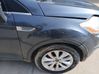 Fender 1633114