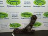 Brazo de suspensión/horquilla inferior delantero 