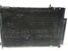 Klimakühler 80110SKNG01