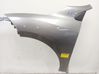Guardabarro 631010047R