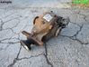 Rear differential 7562712