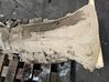 Automatic gearbox FL3P7000FA