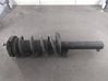 Front shock absorber with coil spring 