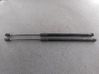 Tailgate/trunk strut/damper 2STKSTCAR