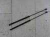Tailgate/trunk strut/damper 2STK