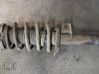 Front shock absorber with coil spring 