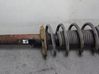 Front shock absorber with coil spring 