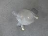 Coolant expansion tank/reservoir 