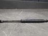 Tailgate strut 8614432