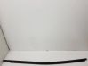 Rear door glass trim molding 
