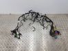Panel wiring 9817818780
