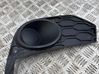 Front fog light trim/grill 5801562216
