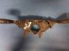 Indicator stalk 24885