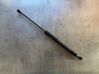 Tailgate/trunk strut/damper 844301324R