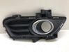 Priešrūkinio žibinto apdaila/ grotelės DS7319952AA