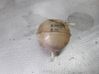 Coolant expansion tank/reservoir 701121407B