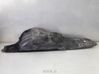 Wiper trim 93301867