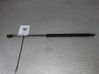Tailgate/trunk strut/damper 