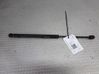 Front bonnet/hood damper/strut 811612C001