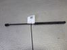 Front bonnet/hood damper/strut 46784590