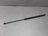 Tailgate/trunk strut/damper 