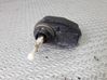 Headlight level adjustment motor 0307851346