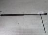 Tailgate/trunk strut/damper 1S71A406A10BB