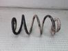 Rear coil spring 