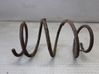 Front coil spring 