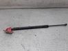 Tailgate/trunk strut/damper 8200219322