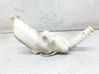 Windshield washer fluid reservoir/tank 