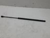 Tailgate/trunk strut/damper 