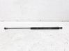 Tailgate/trunk strut/damper 46514867
