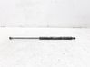Tailgate/trunk strut/damper 46514867
