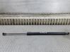 Tailgate/trunk strut/damper 8200219322