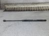 Tailgate/trunk strut/damper 1268NM