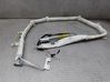 Roof airbag 1495299080