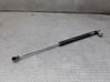 Tailgate/trunk strut/damper 