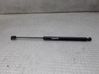 Tailgate/trunk strut/damper 