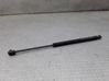 Tailgate/trunk strut/damper 
