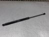 Tailgate/trunk strut/damper 