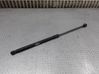 Front bonnet/hood damper/strut 