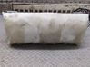Passenger airbag 39823163004F