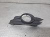 Front fog light trim/grill 13193538