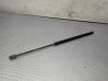 Tailgate/trunk strut/damper 2S51B406A10AD
