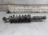 Rear shock absorber with coil spring 