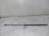 Tailgate/trunk strut/damper 13182309