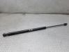 Tailgate/trunk strut/damper 
