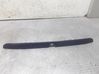 Trunk door license plate light bar 